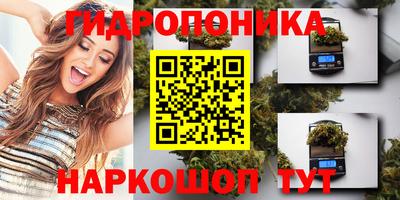молекула духа Жуковский